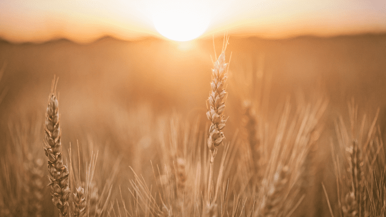 Affirmations for healing illness