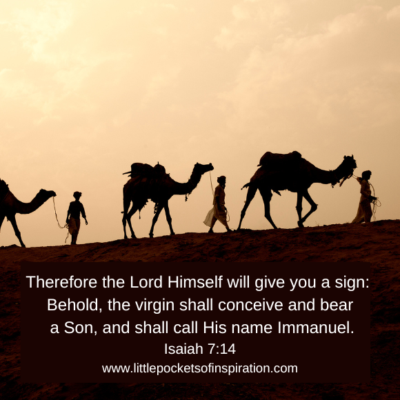 Bible verses about Christmas
Scripture verses about Christmas
Religious verses about Christmas
Bible verses about Christmas image