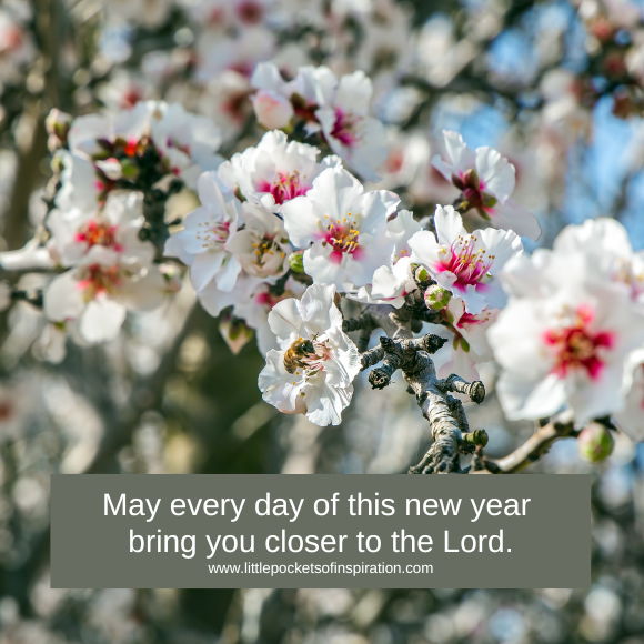 happy new year Christian message
happy new year Christian messages
happy new year Christian messages image
happy new year Christian messages picture