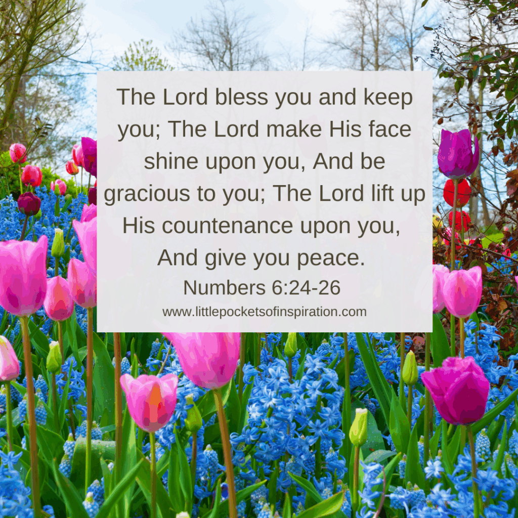Numbers 6
Bible verses about peace
Scriptures about peace
Bible verses about peace image
Bible verses about peace scripture