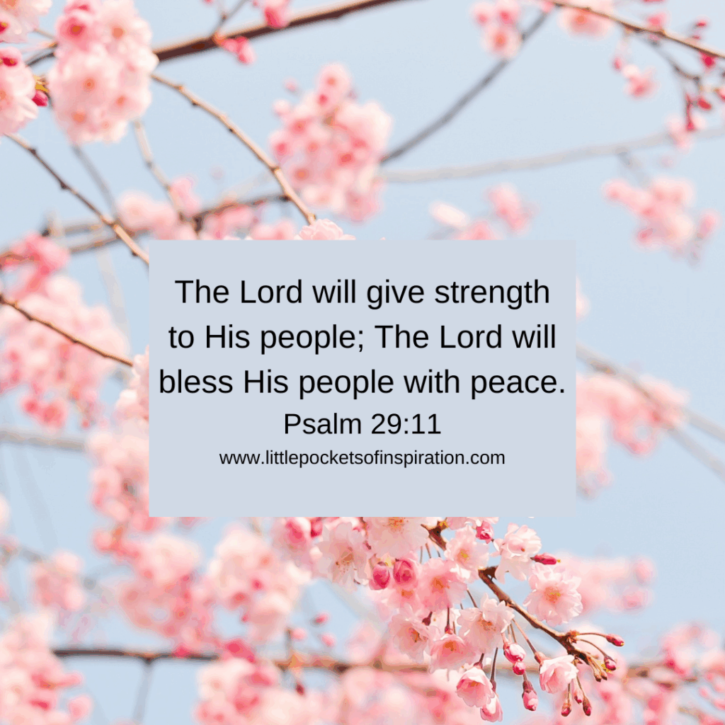 Bible verses about peace
Scriptures for peace
peace messages image
peace messages picture 