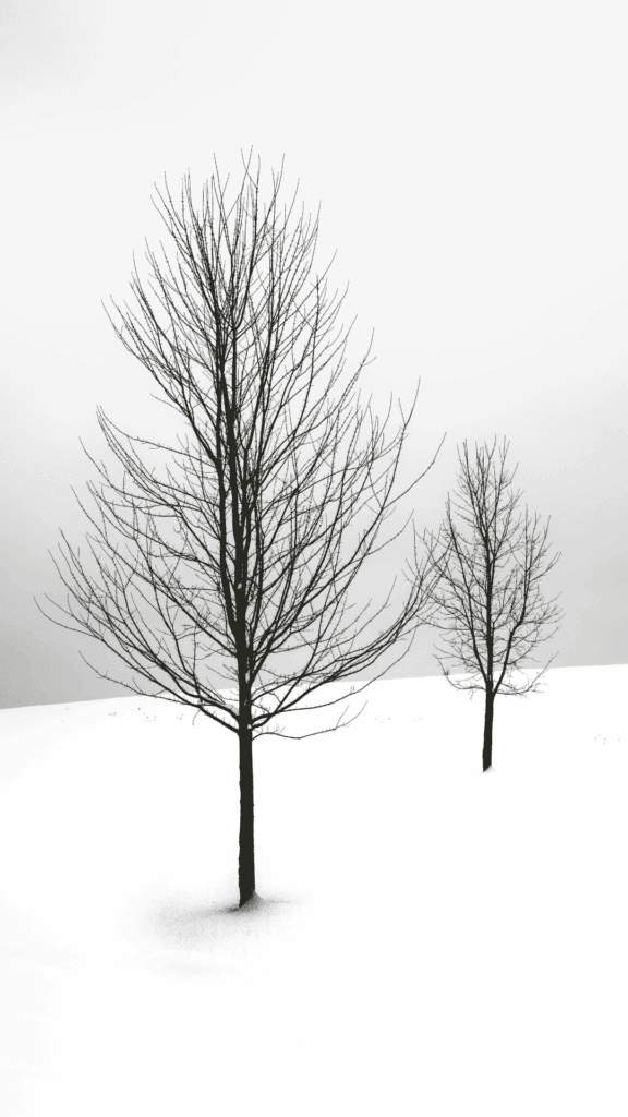 free winter phone wallpapers